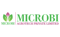 Microbi/QuizHire